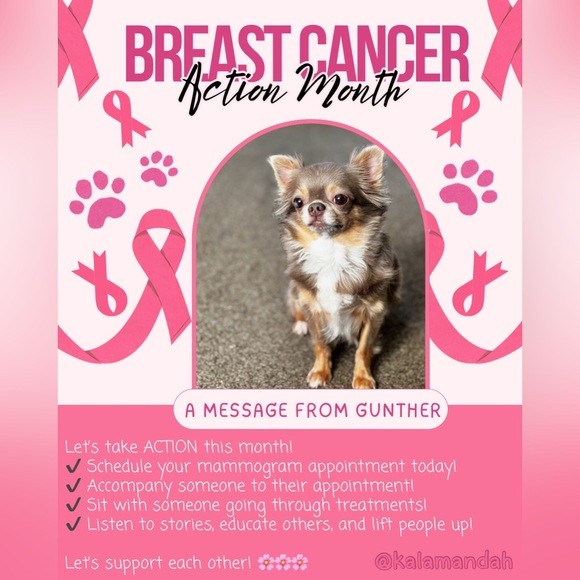 ✨October is Breast Cancer Action Month✨ - Picture 1 of 5